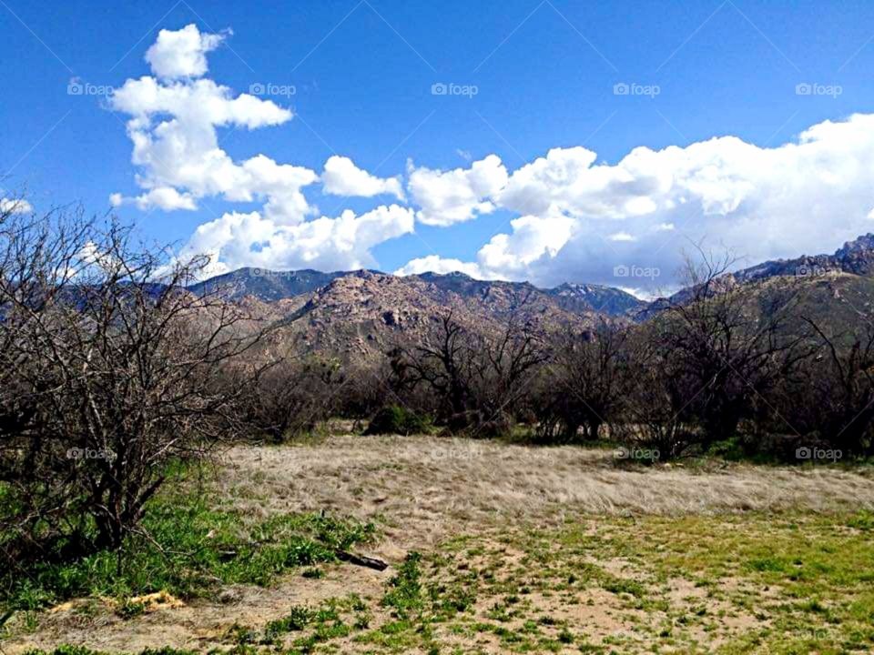 View from the desert