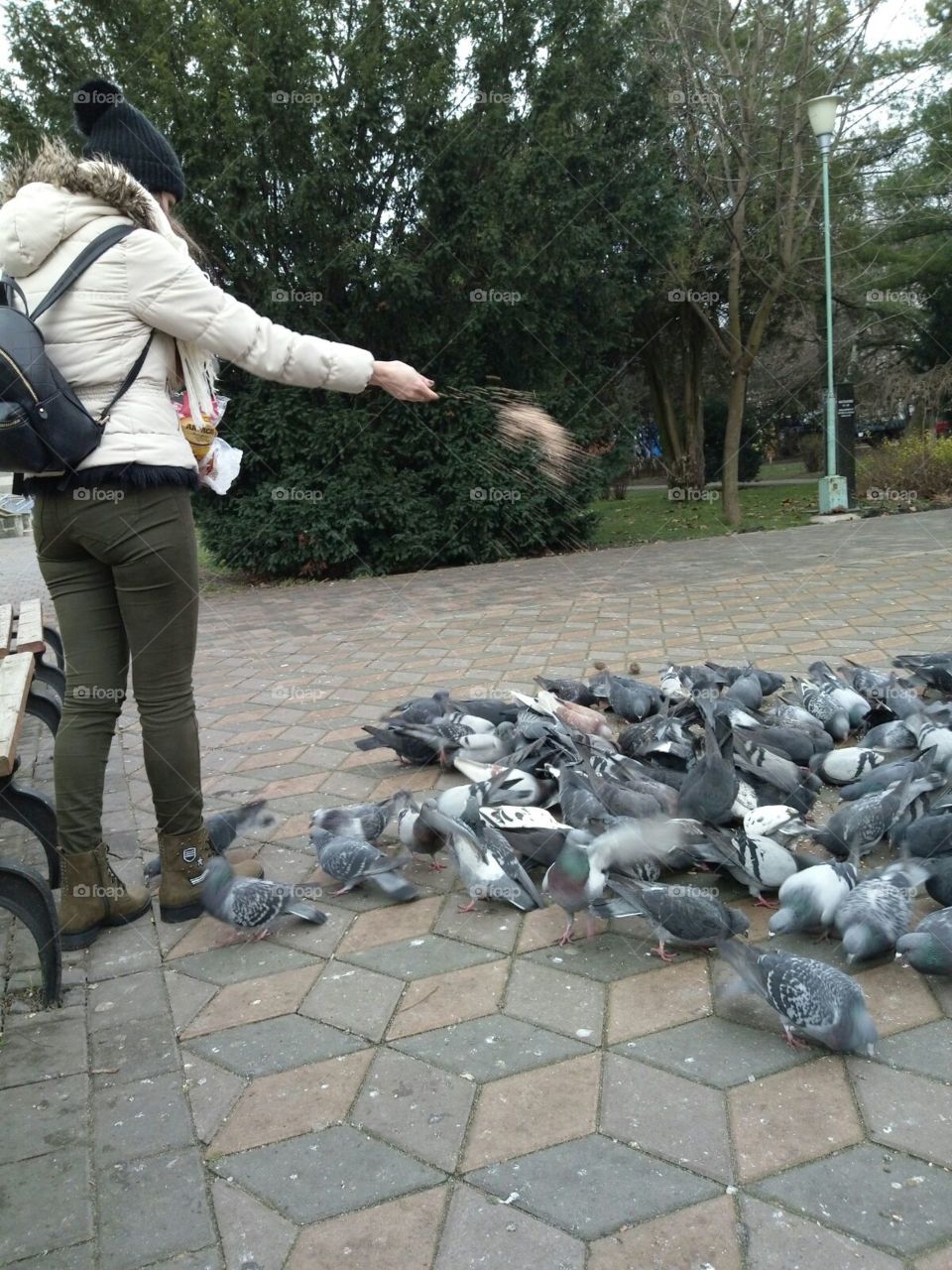 Feeding these little pigeons
