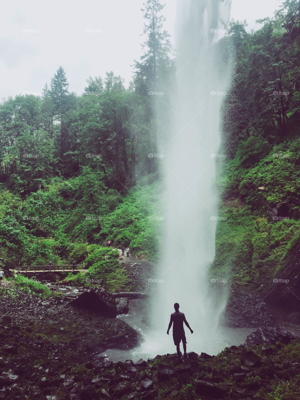 Latourell Falls in the Summer 