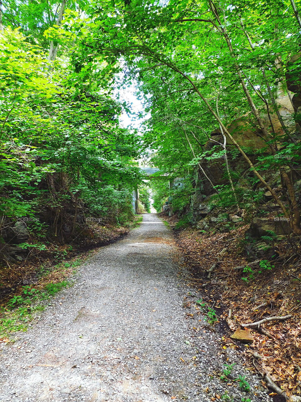 Walking the old trolley trail 