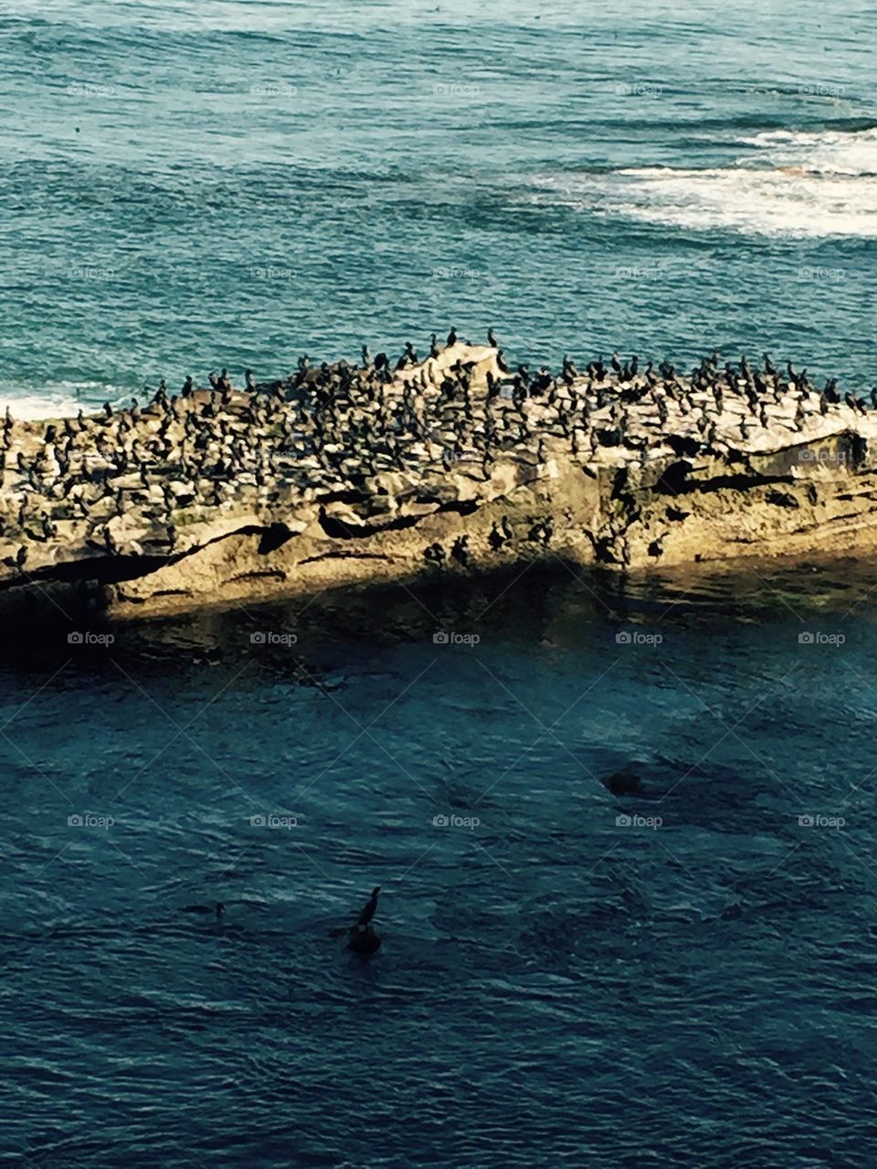 Del Mar beach