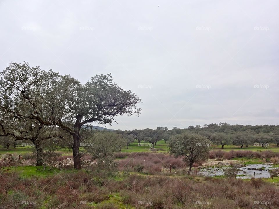 Hike outside Sevilla, Spain