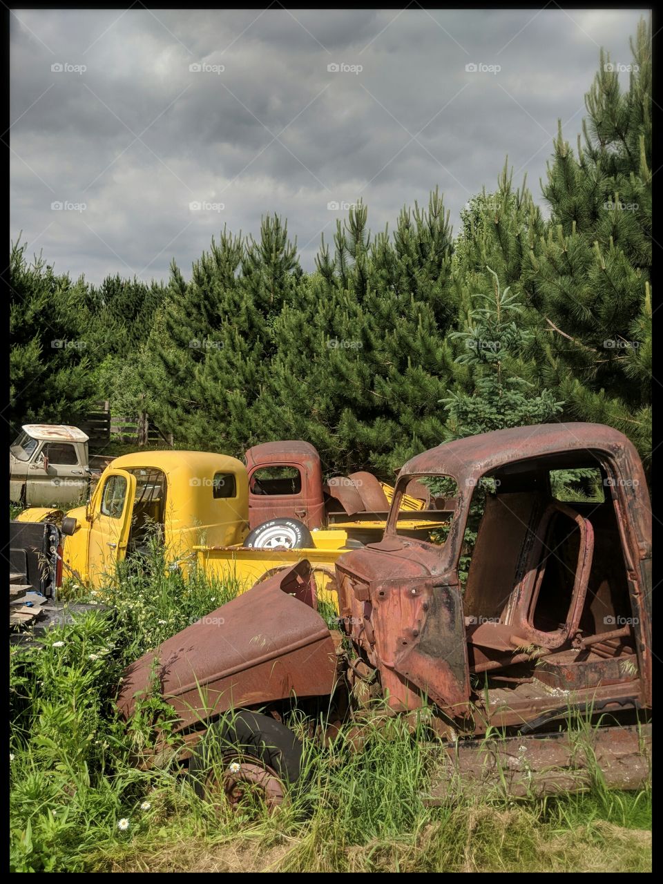rusty trucks