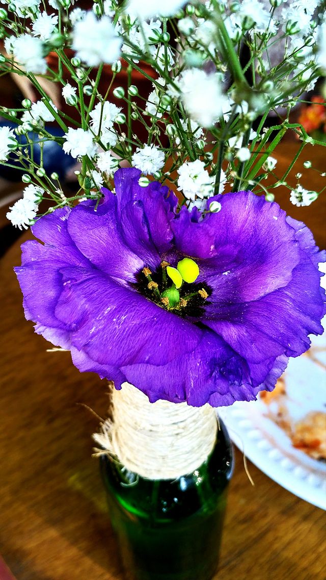 Flower