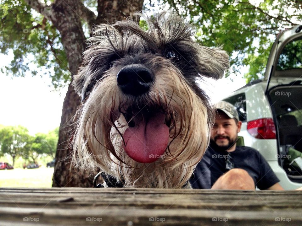 Dog with Owner in park