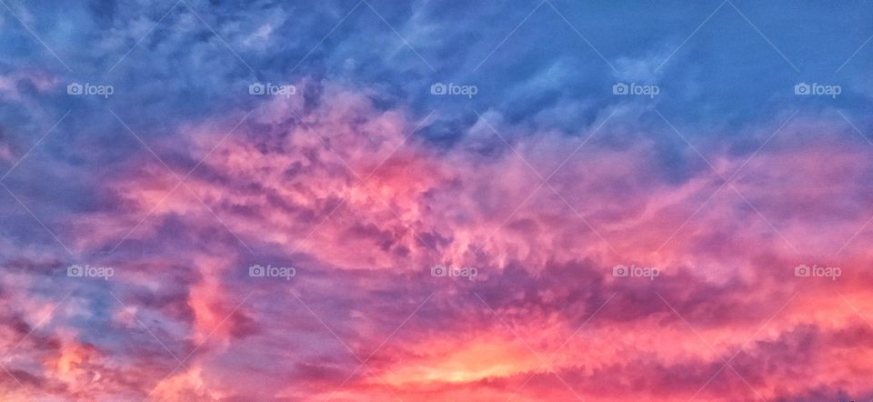 The pink sky of spring