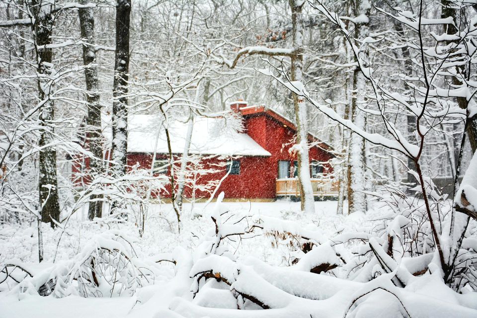 Snow covered forest with a bright red cabin peeking through snow-covered trees.