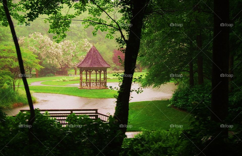 Gazebo in the Forest 