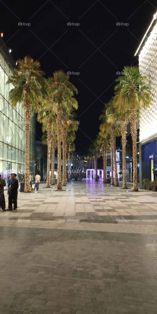 editors' choice: photo of the week