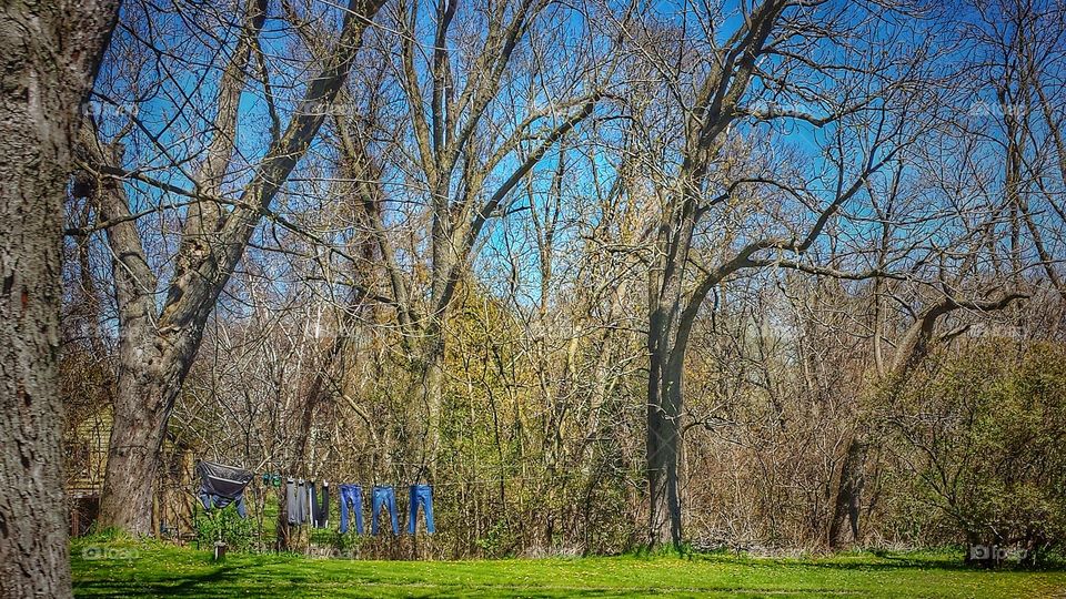 High angle view of clothesline