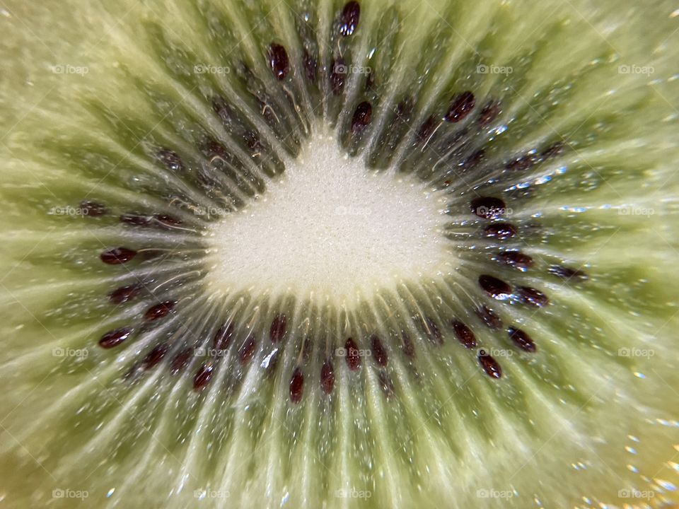 Kiwi close up 