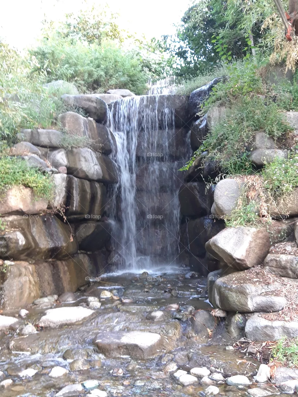 nature