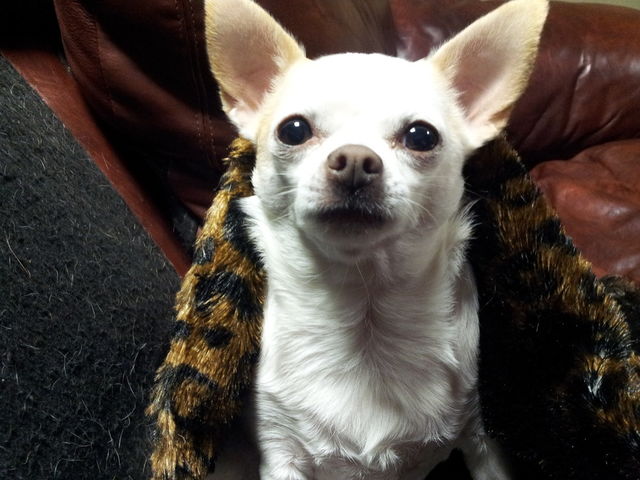 Minnie