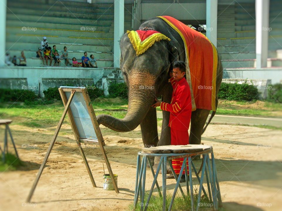 The elephant show drawing