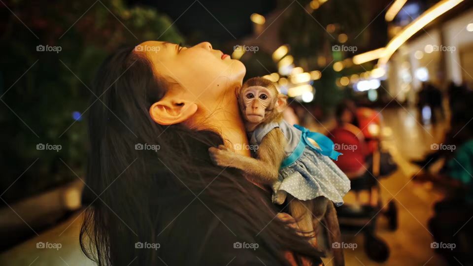 Little monkey: Jakarta, Indonesia. 