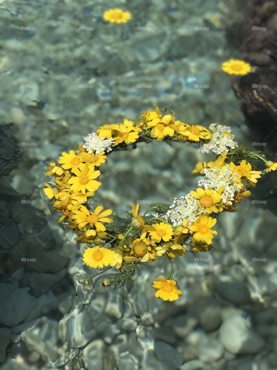 Yellow flowers wreath floating in water