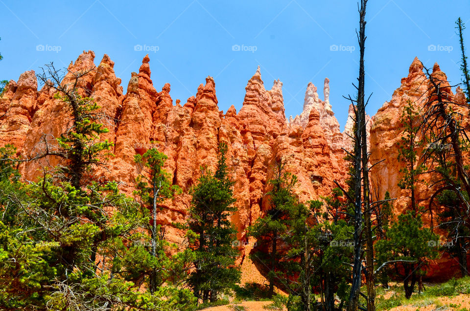 Bryce Canyon 3