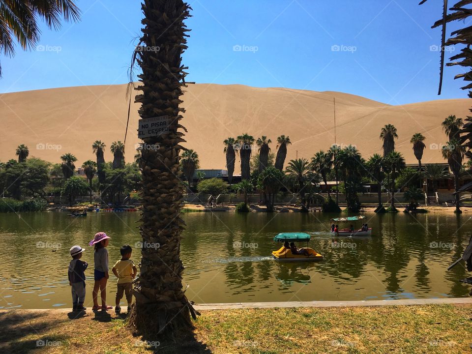 Huacachina. Oasis.