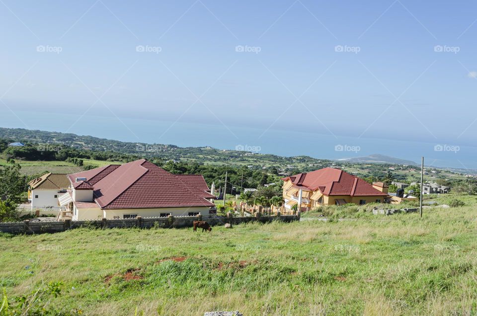 Landscape With Houses