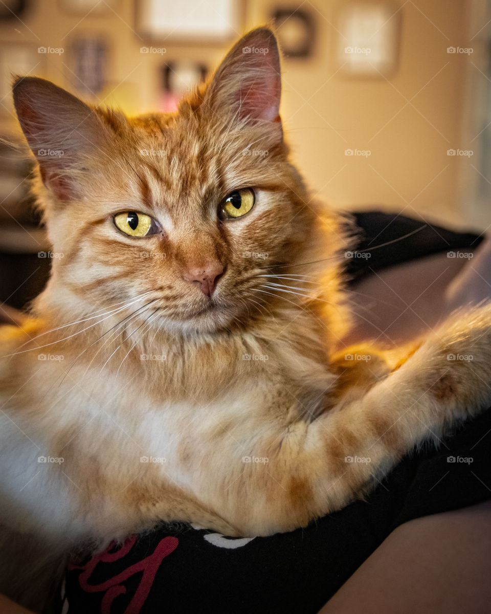 posing for headshots