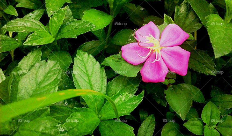 while working on vayal (Malayalam)😉