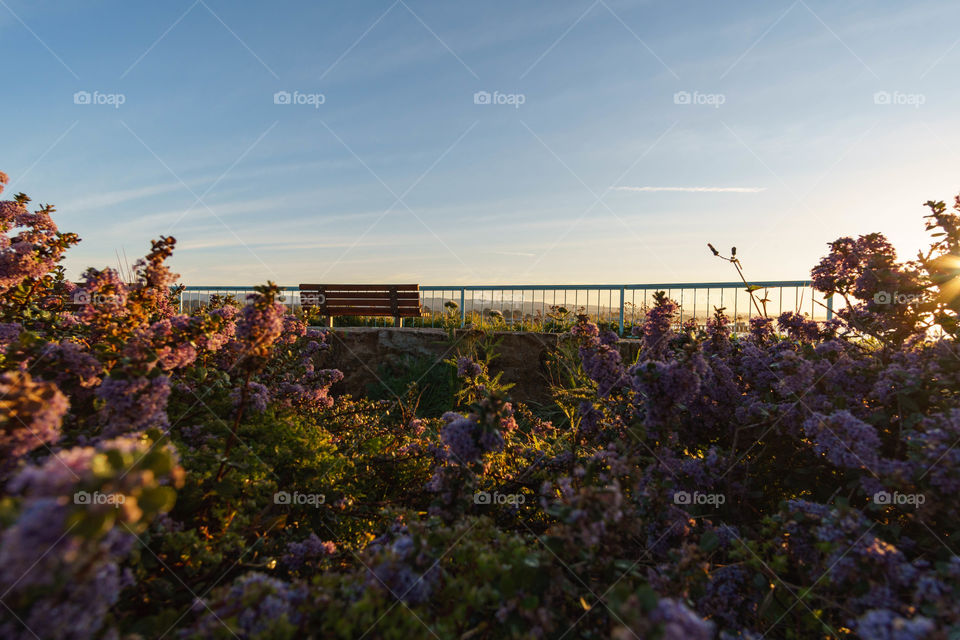 Empty bench near fence at park with sunlight
