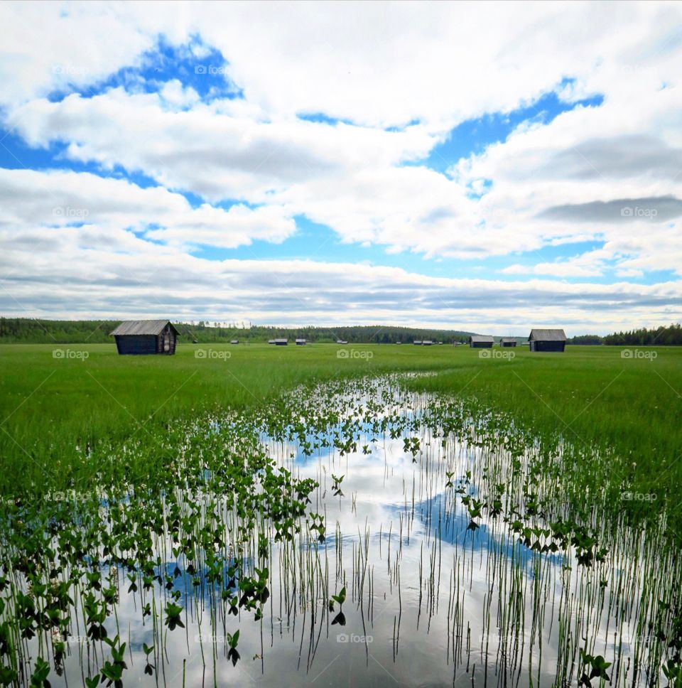 Swedish  lappland  water  and grass