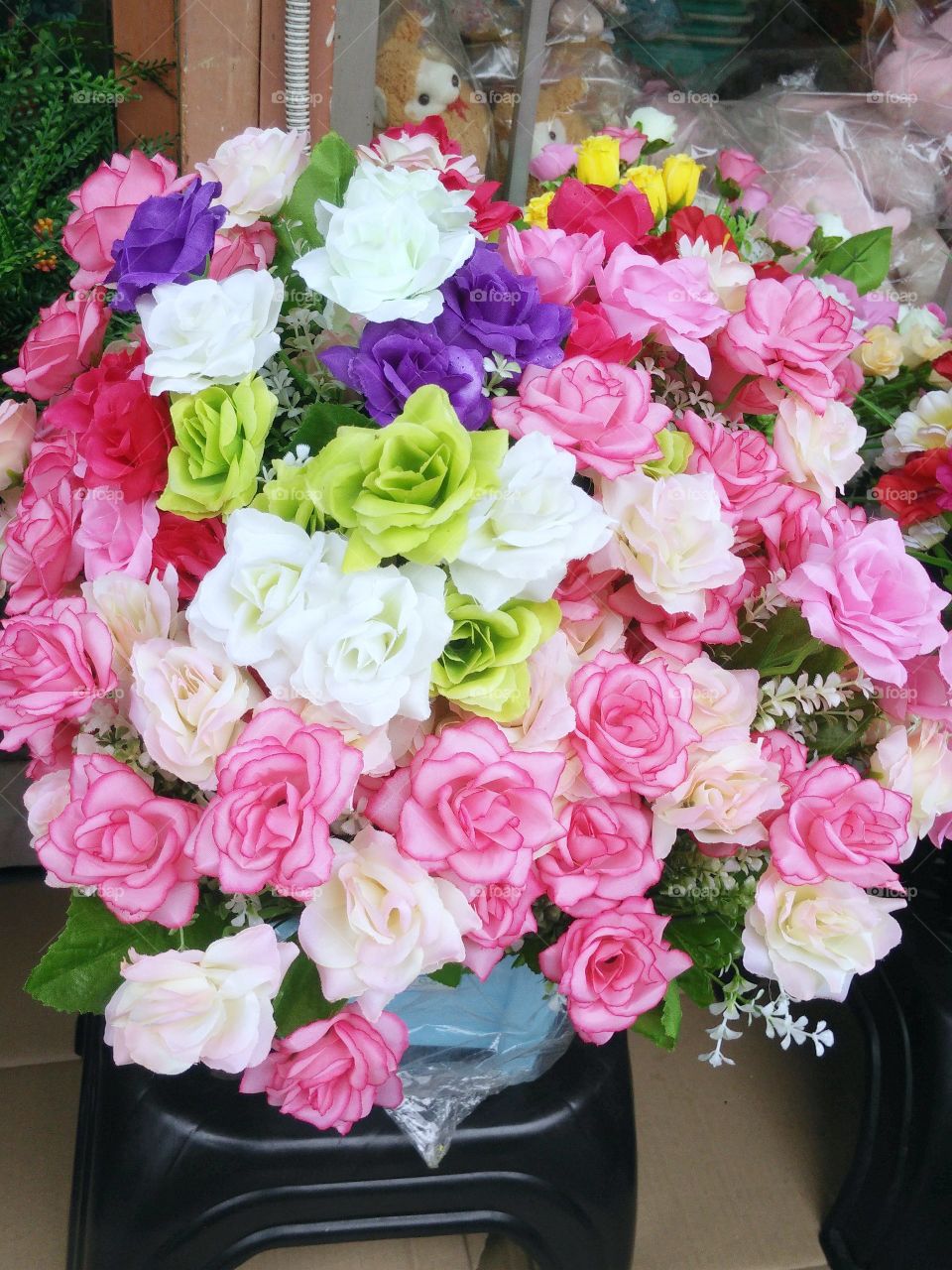 colourful of roses. colourful of roses in summer