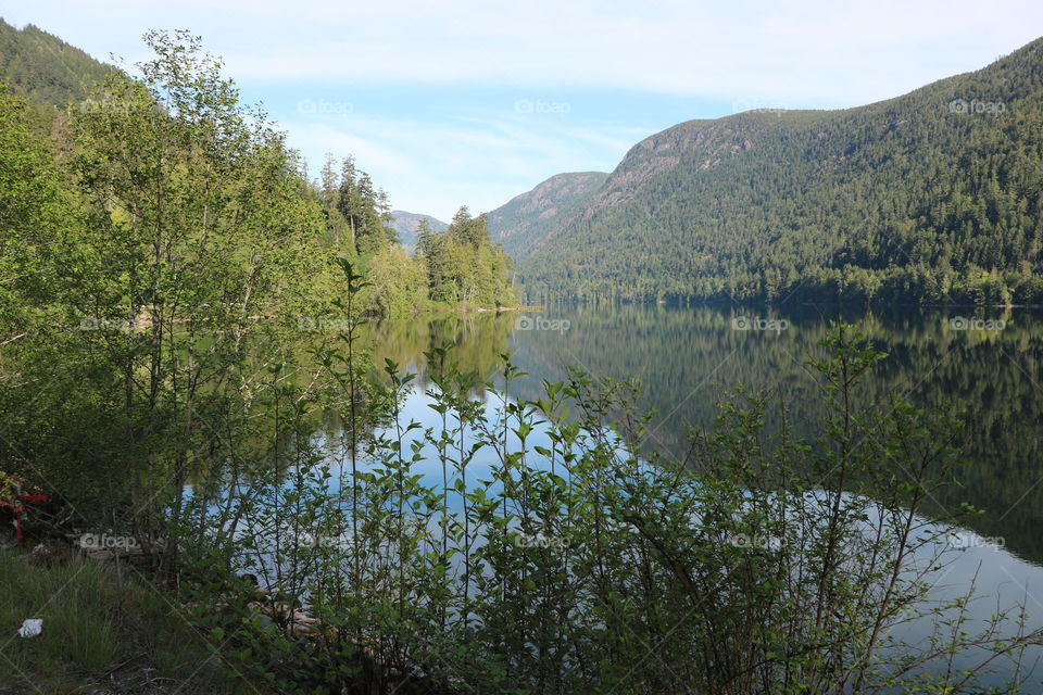 Woods reflecting in the lake