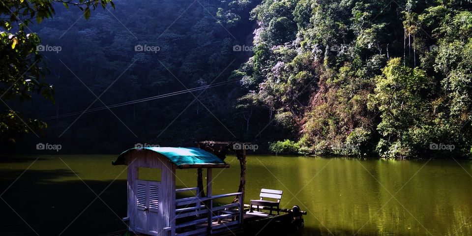 lake and small boat in the middle of the forest