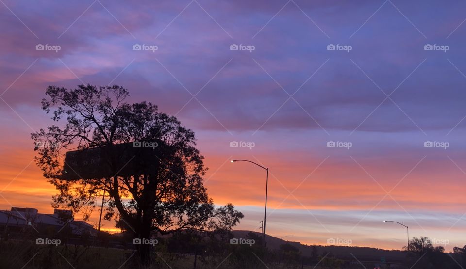 California early orange and purple sunrise with tree and road signs 