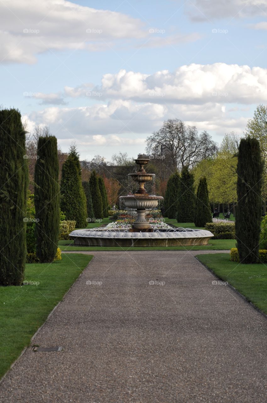 Tree, Park, Garden, No Person, Fountain