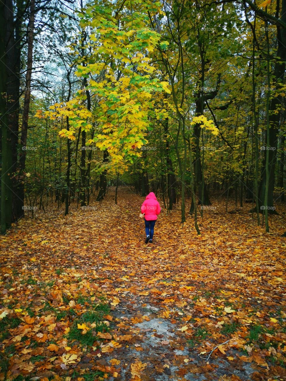 Girl on a walk in the autumn forest