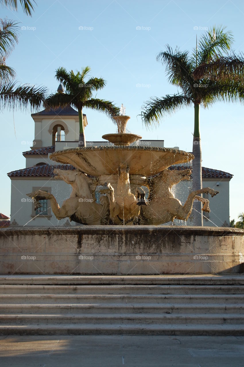 fountain