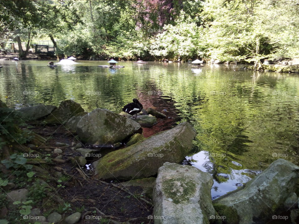 Kurpark in Bad Wildbad