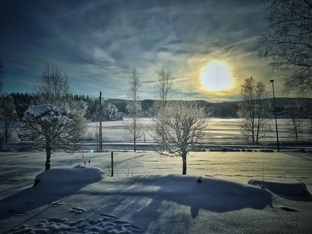 Winters day 