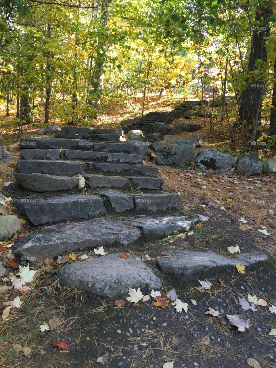 Gatineau Park Autumn rock step