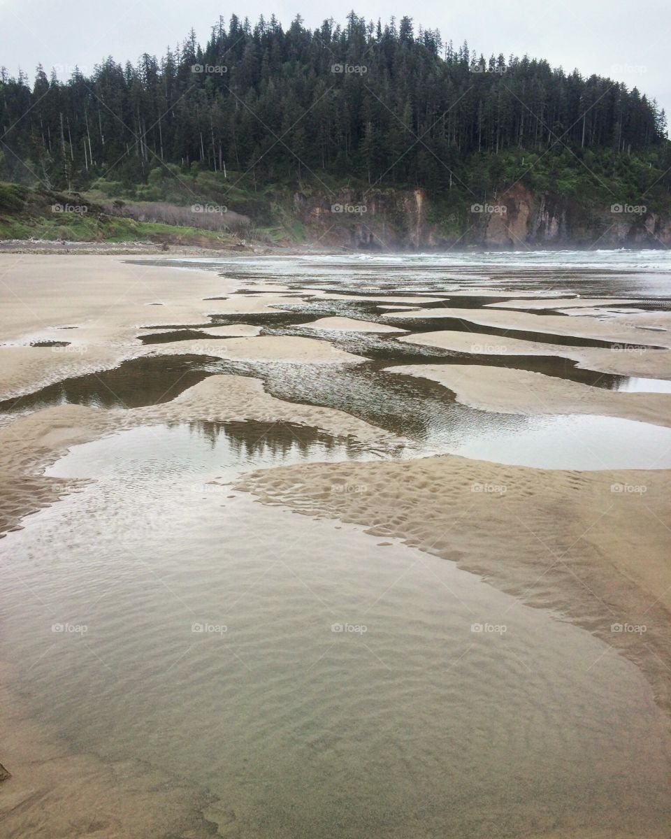 Tidal pools on a beach in Oregon