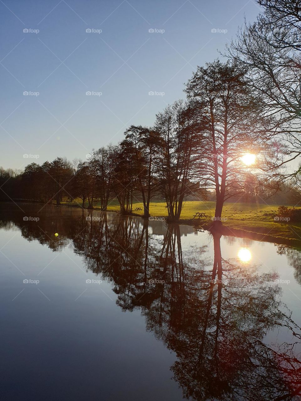 Winter scene with lake and trees