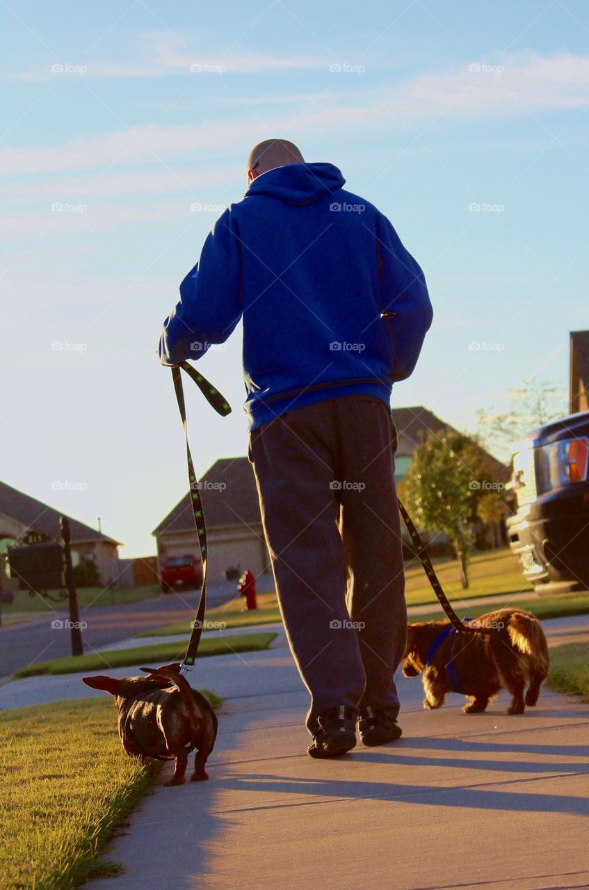 Walking the Dogs