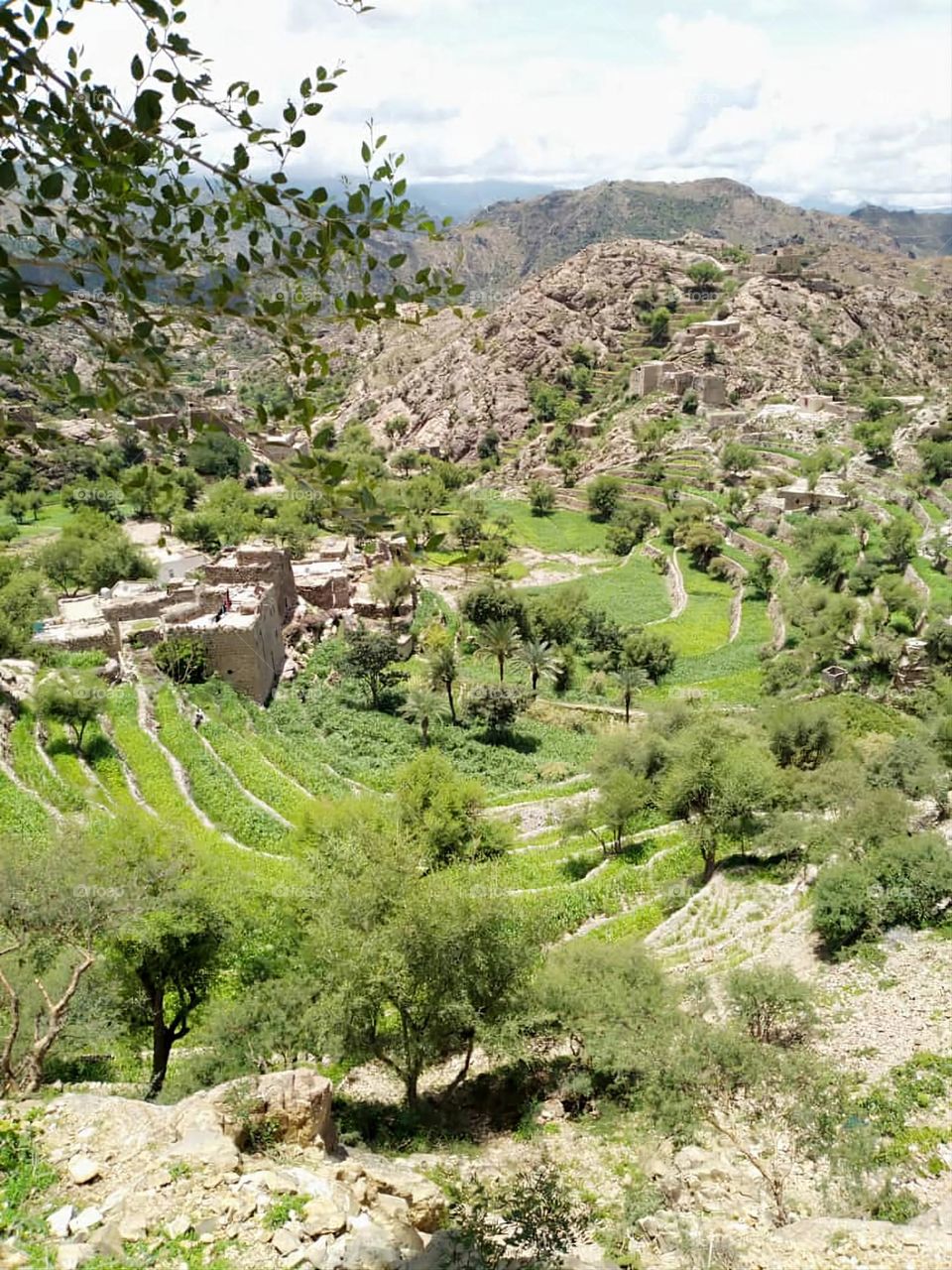 Glory be to God, the magnificent and picturesque view and the natural green trees are a view that is nothing more wonderful than it