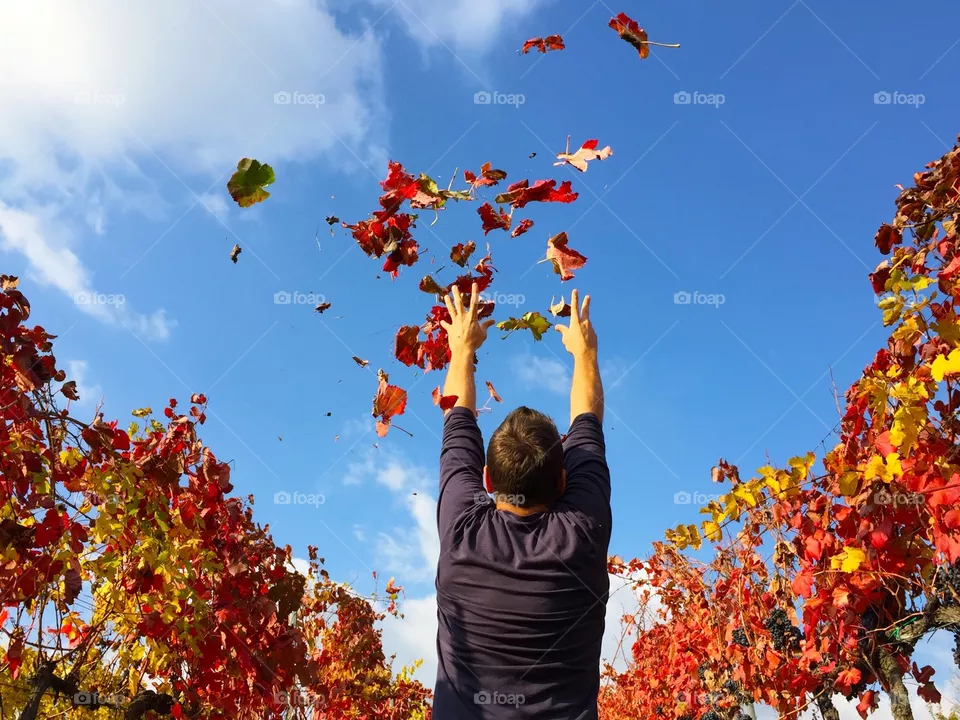 Rain leaves. Rain leaves in the campaign 