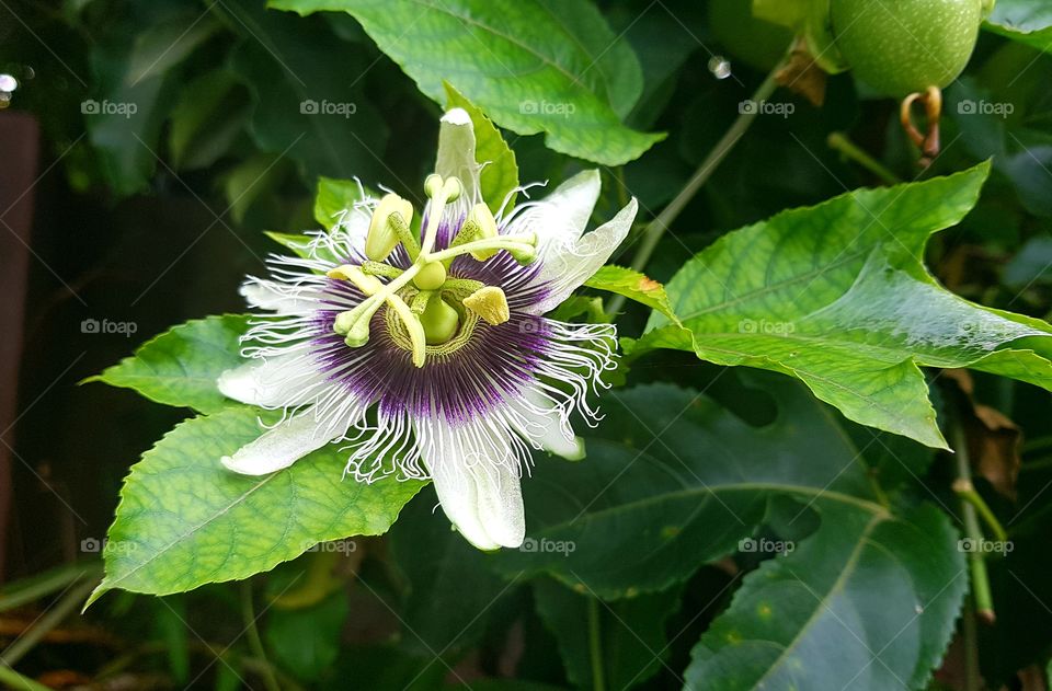 I don't  her name but she is cute 😍😍😍.