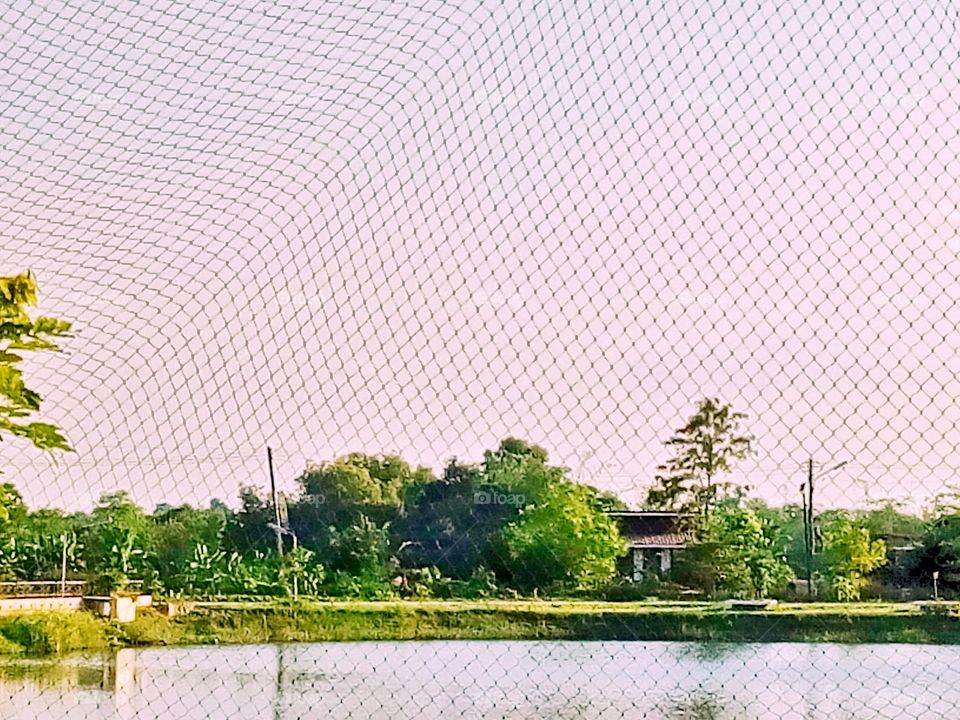 river,tree,sky,landscape