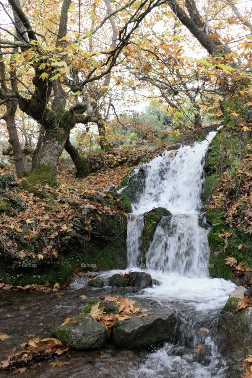 Waterfall in forest