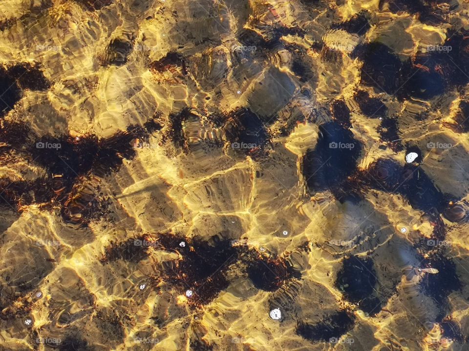 I love this picture because of thos beautiful patterns as a result of sunlight and reflection in the water