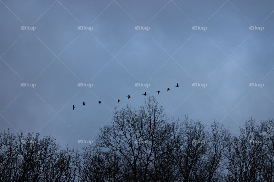 do you know where you are going to