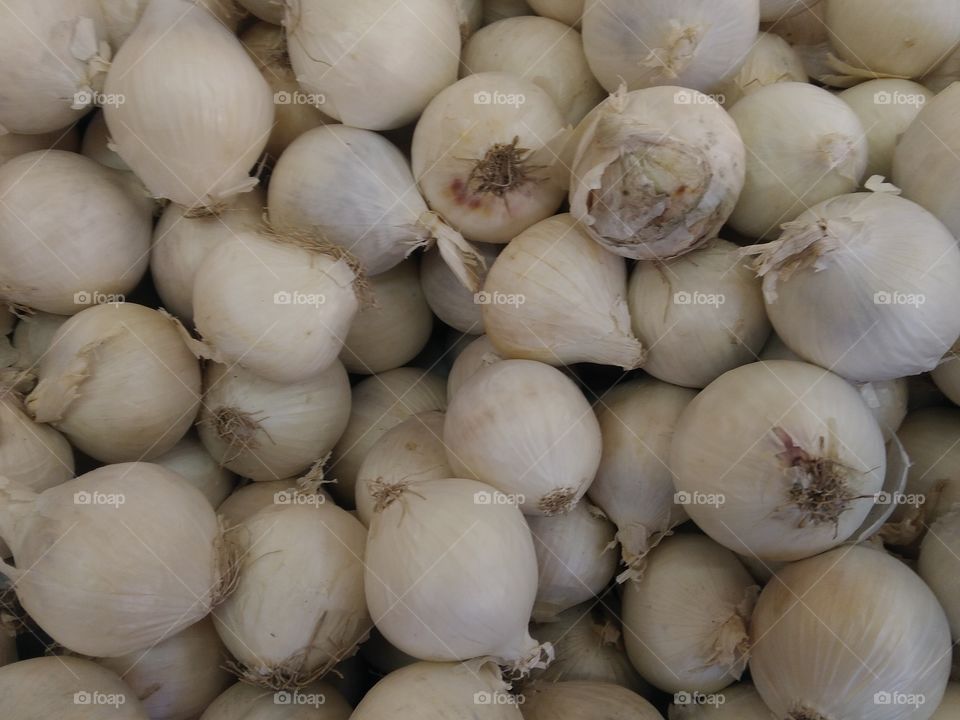 Garlic