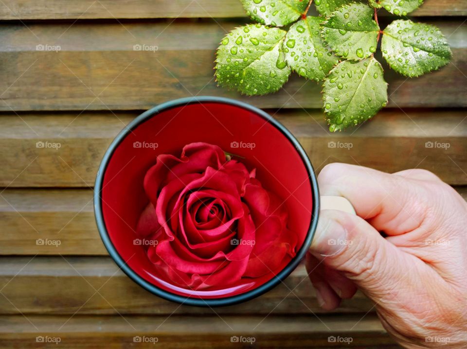 Red rose inside the red mug