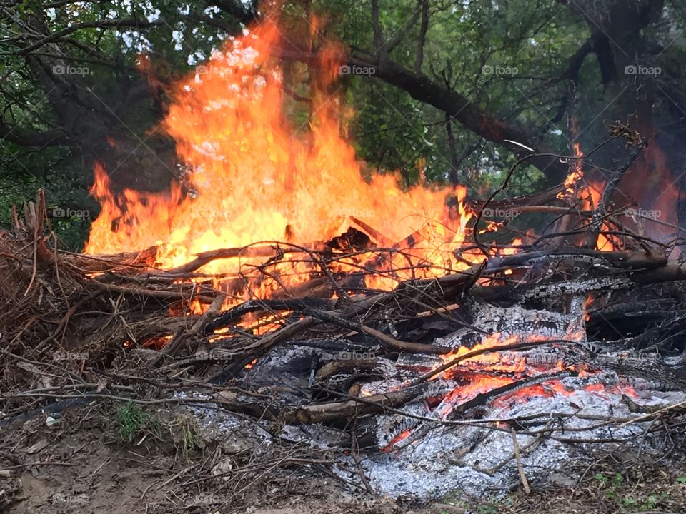 Flame, Campfire, Firewood, Burn, Ash